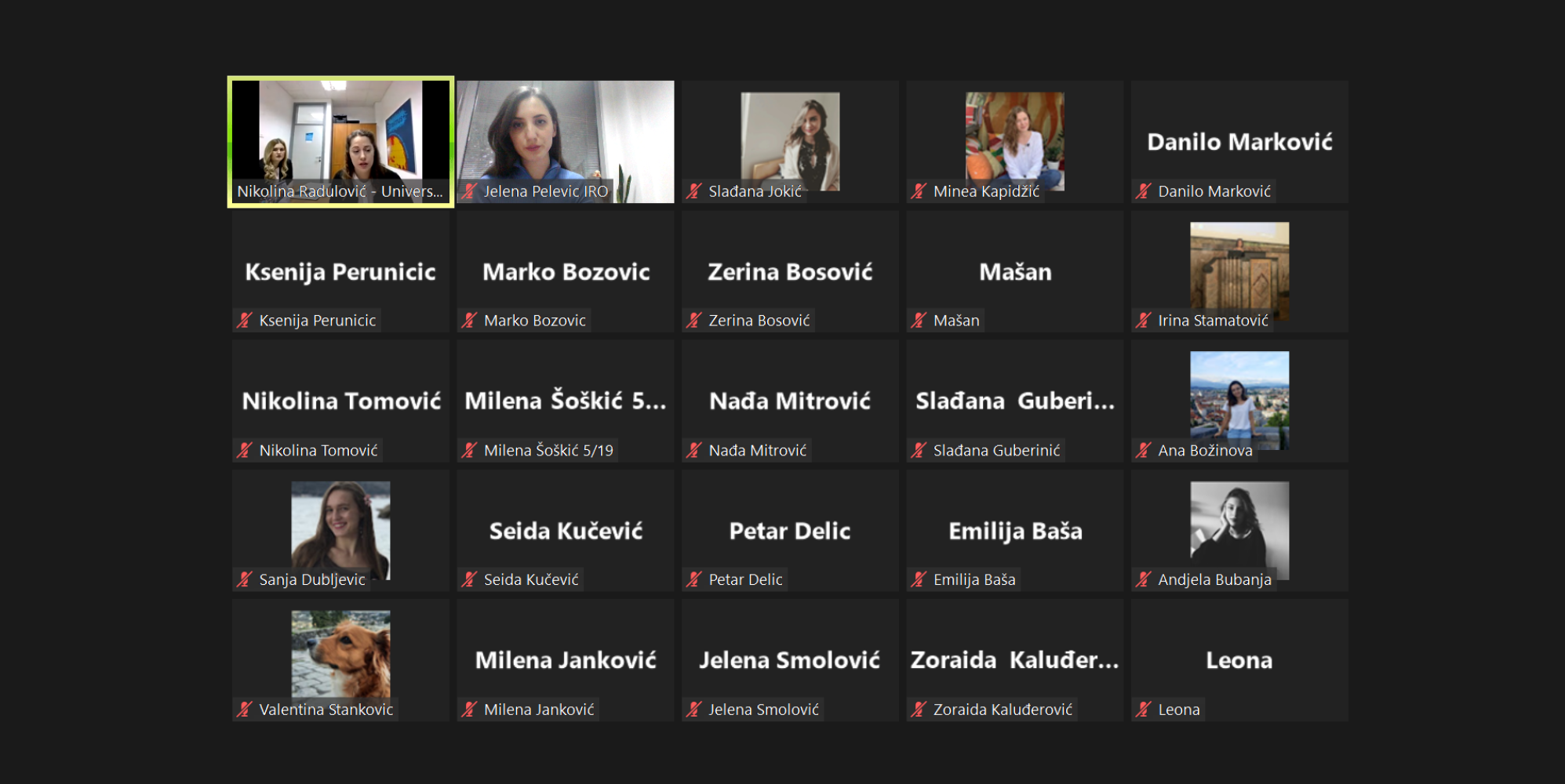 Univerzitet Crne Gore