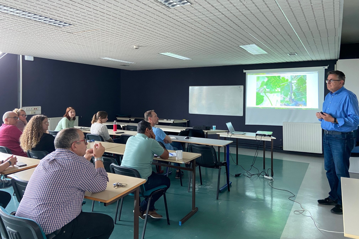 Univerzitet Crne Gore