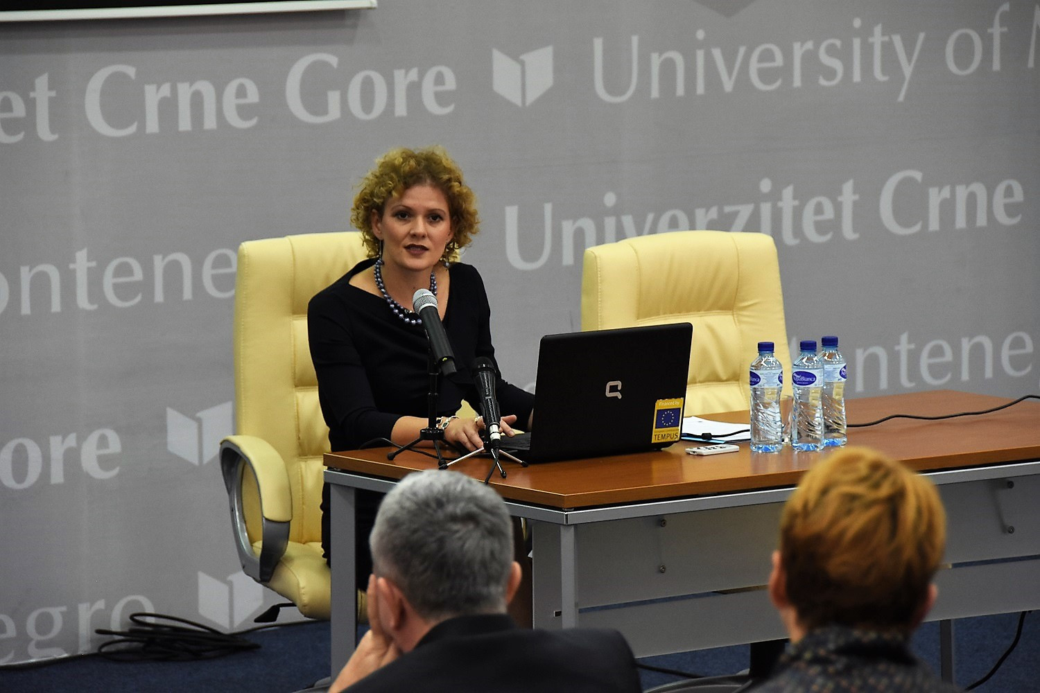 Univerzitet Crne Gore