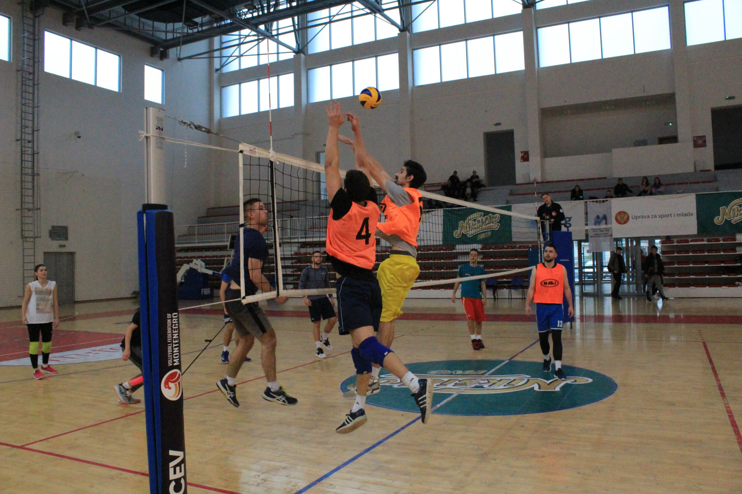 Univerzitet Crne Gore