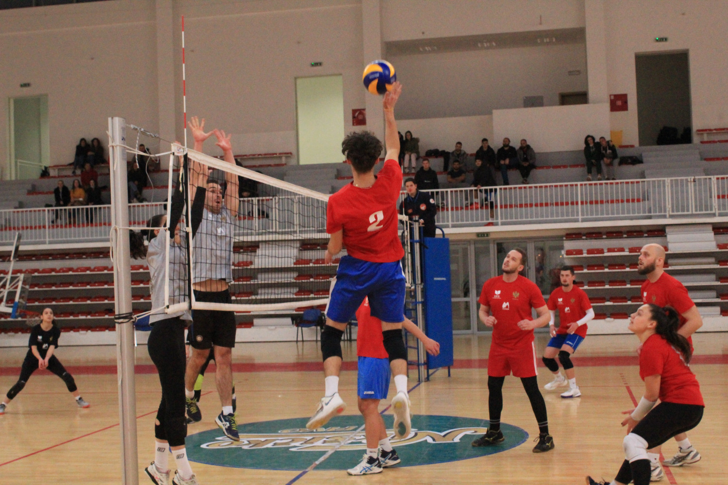 Univerzitet Crne Gore