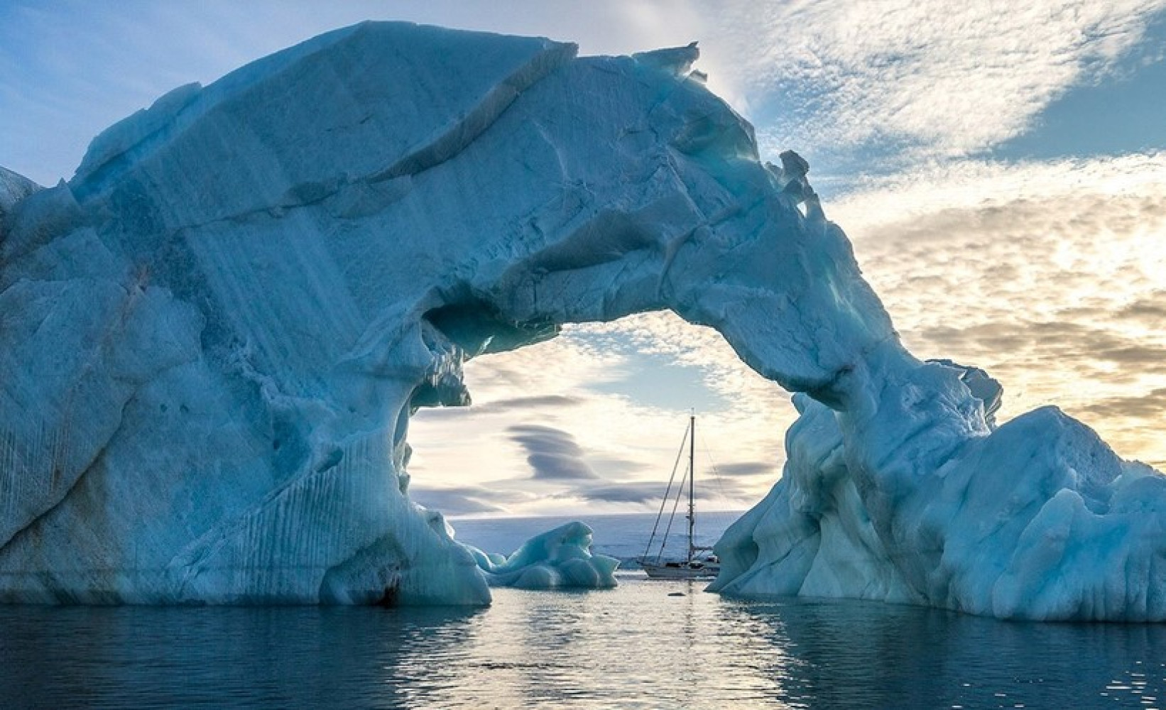 Univerzitet Crne Gore