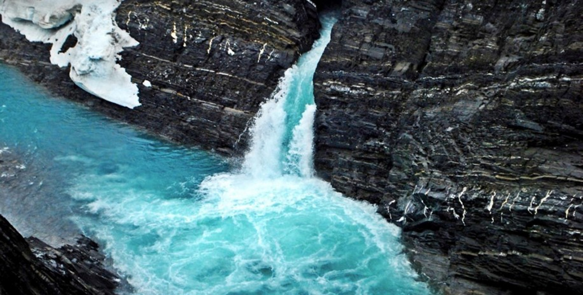 Univerzitet Crne Gore