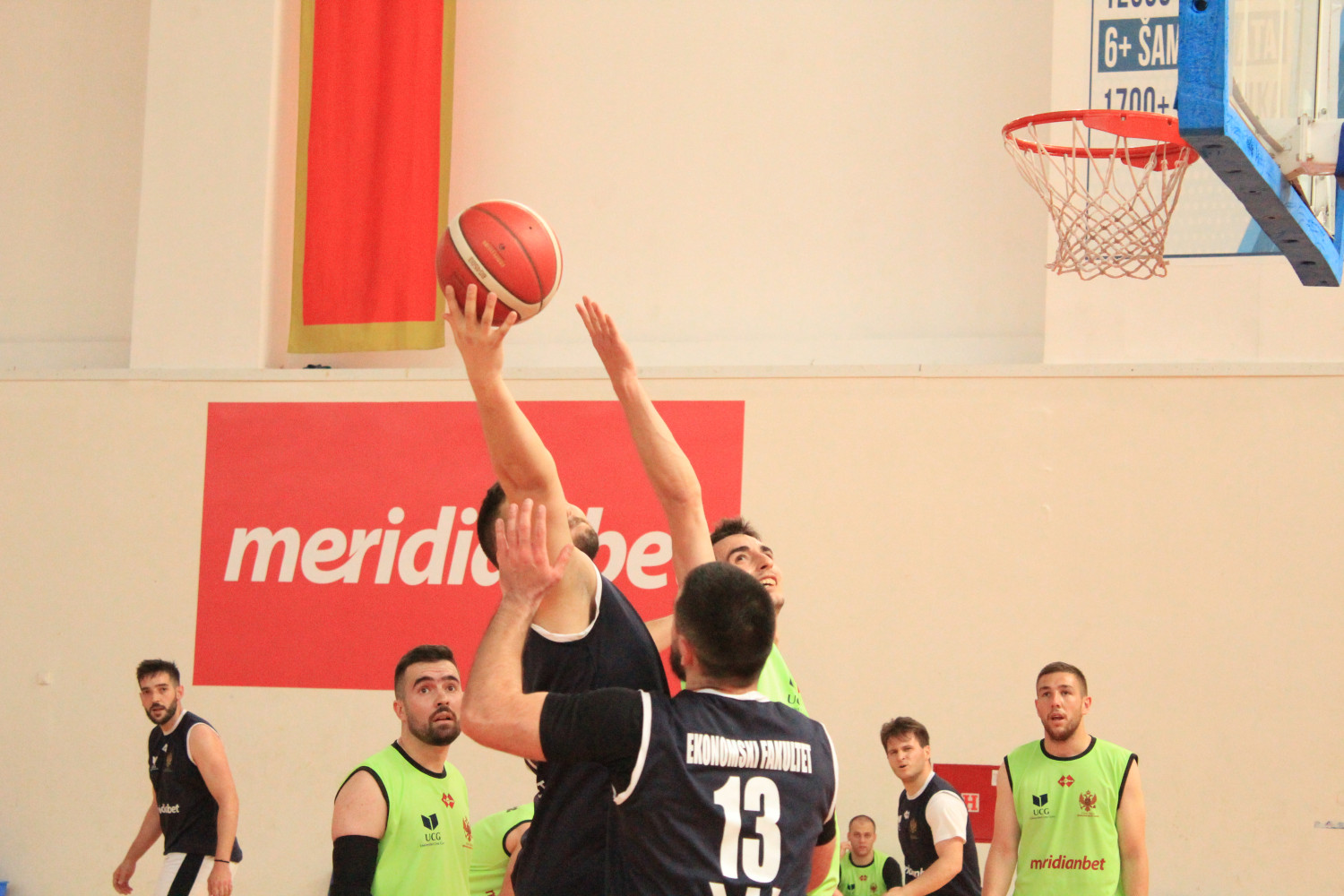 Univerzitet Crne Gore