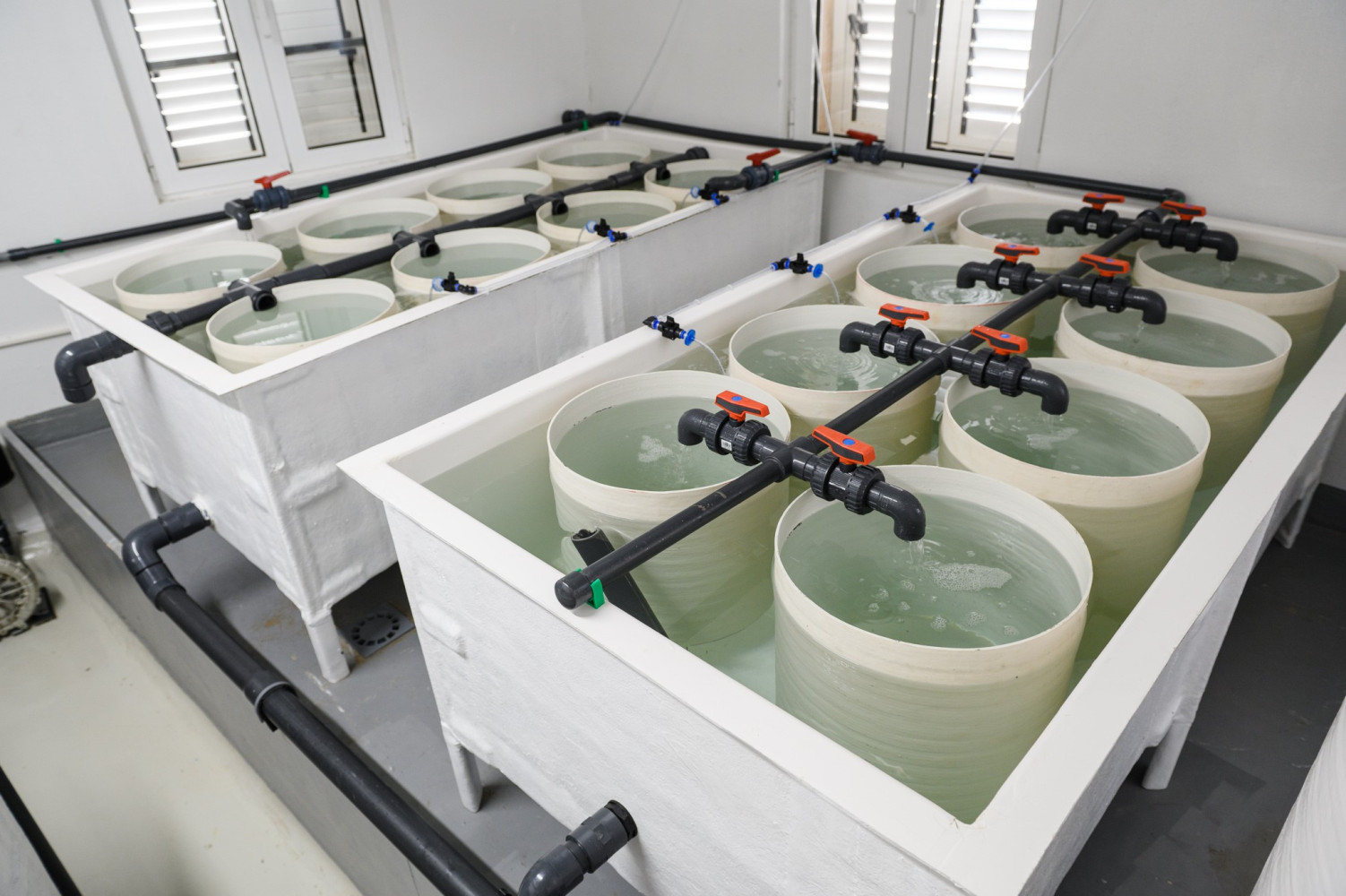 Univerzitet Crne Gore