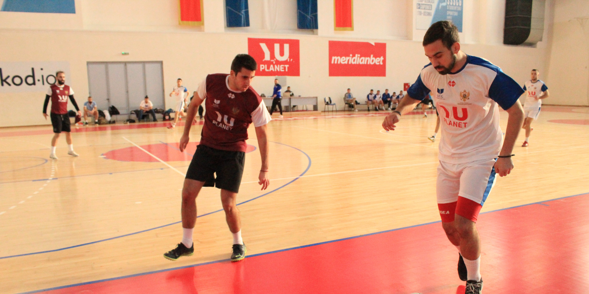 Univerzitet Crne Gore