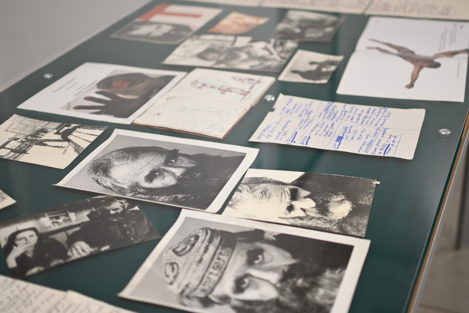 Univerzitet Crne Gore