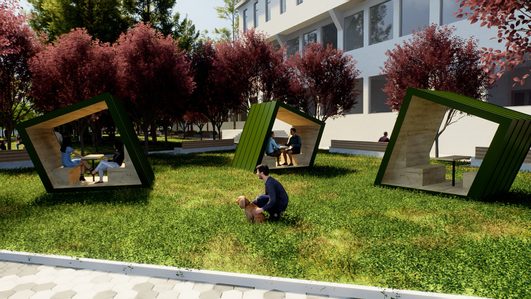 Univerzitet Crne Gore