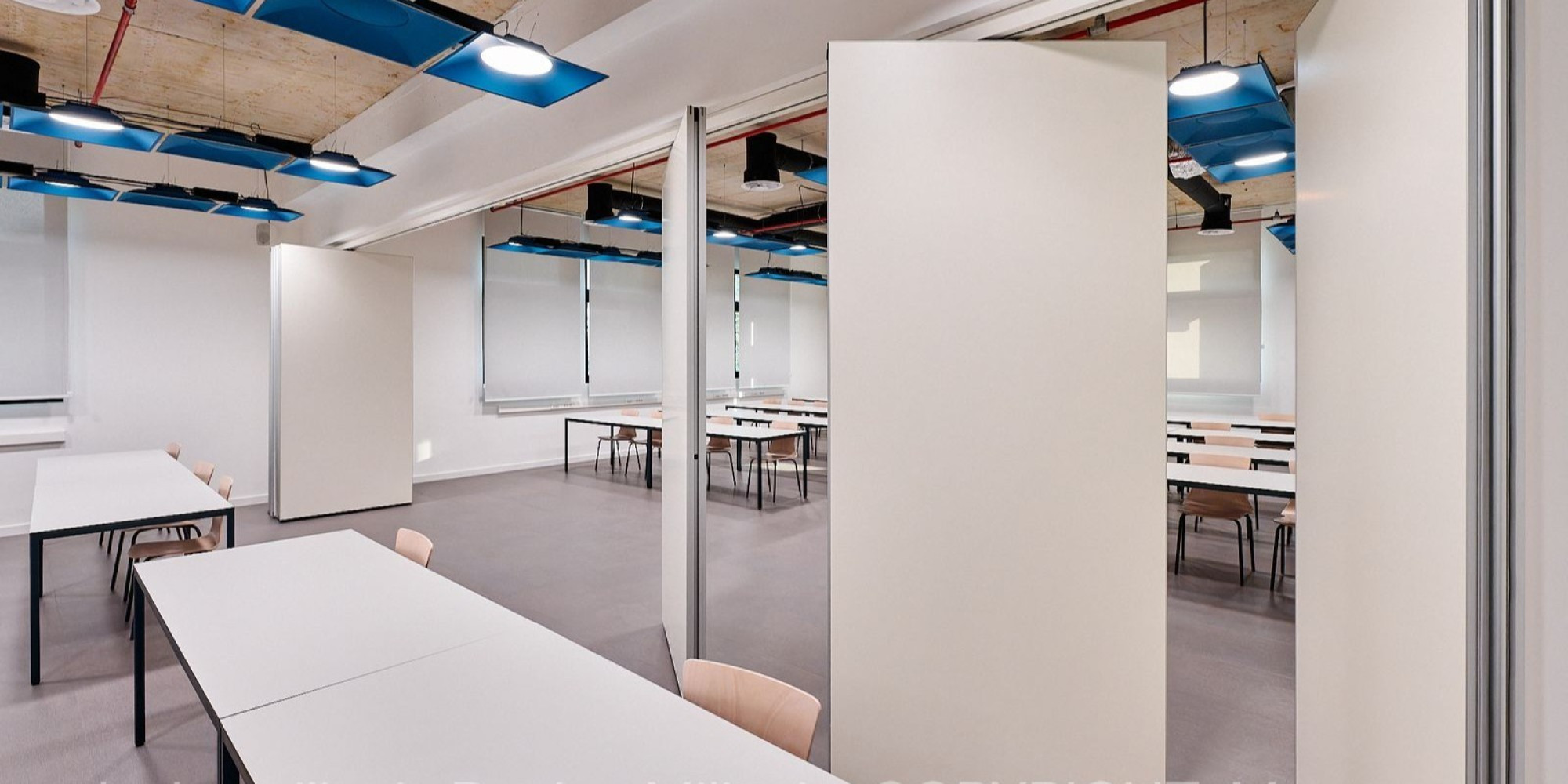 Univerzitet Crne Gore