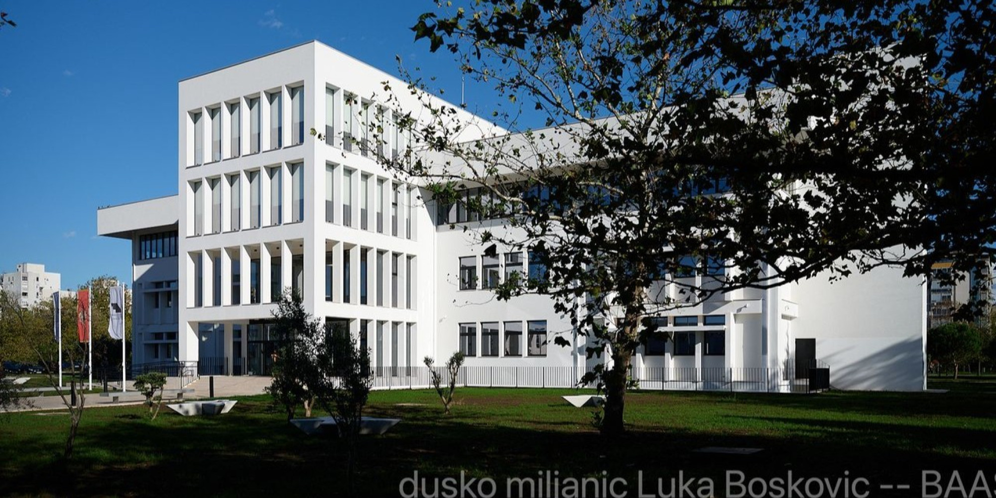 Univerzitet Crne Gore