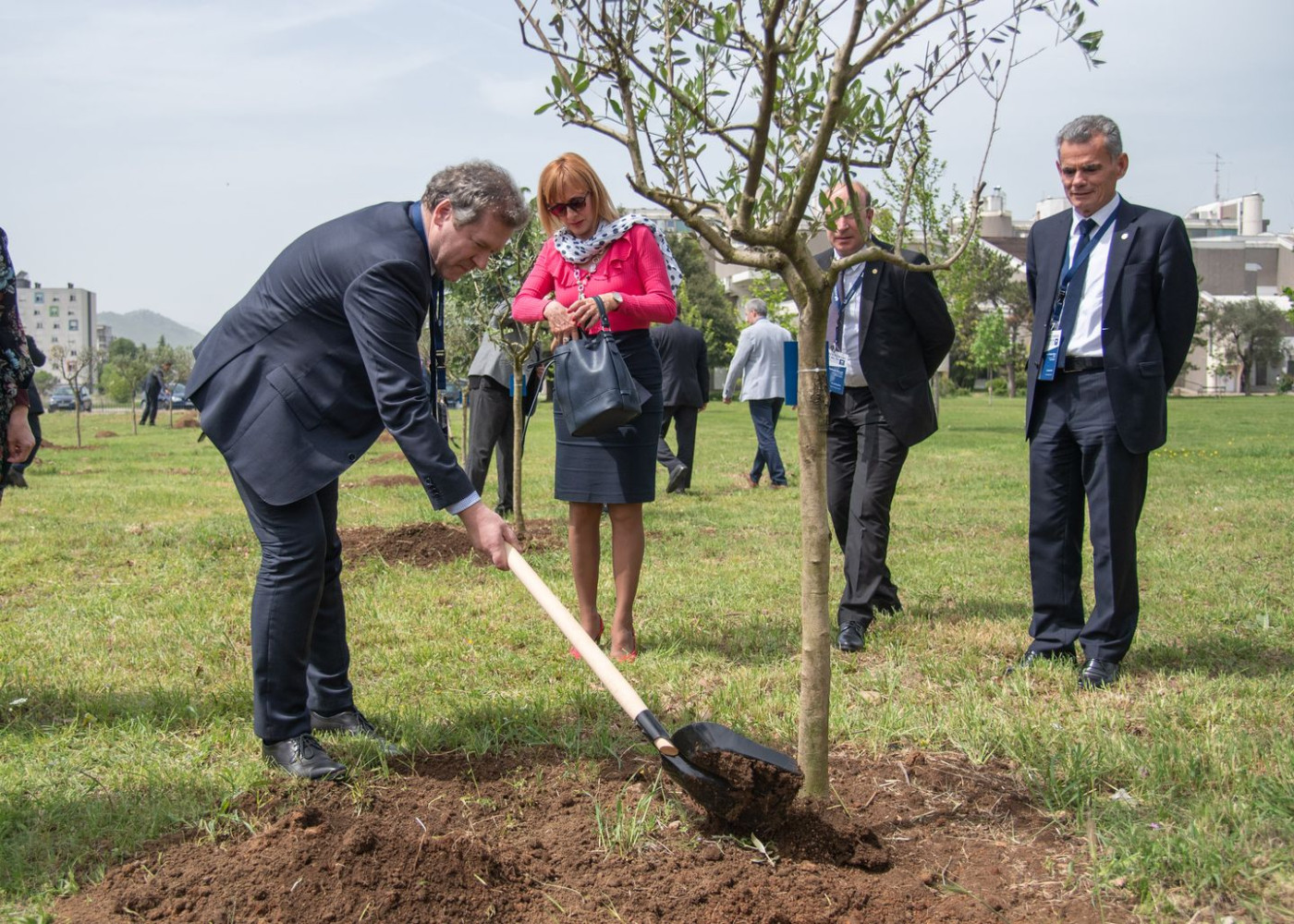 Univerzitet Crne Gore