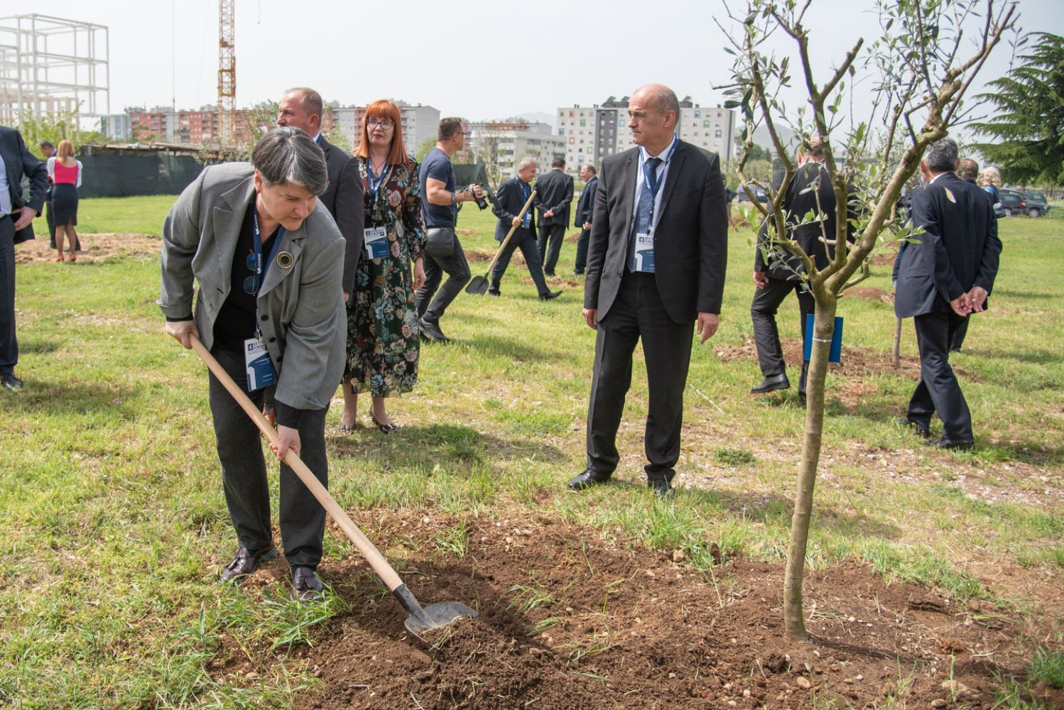 Univerzitet Crne Gore