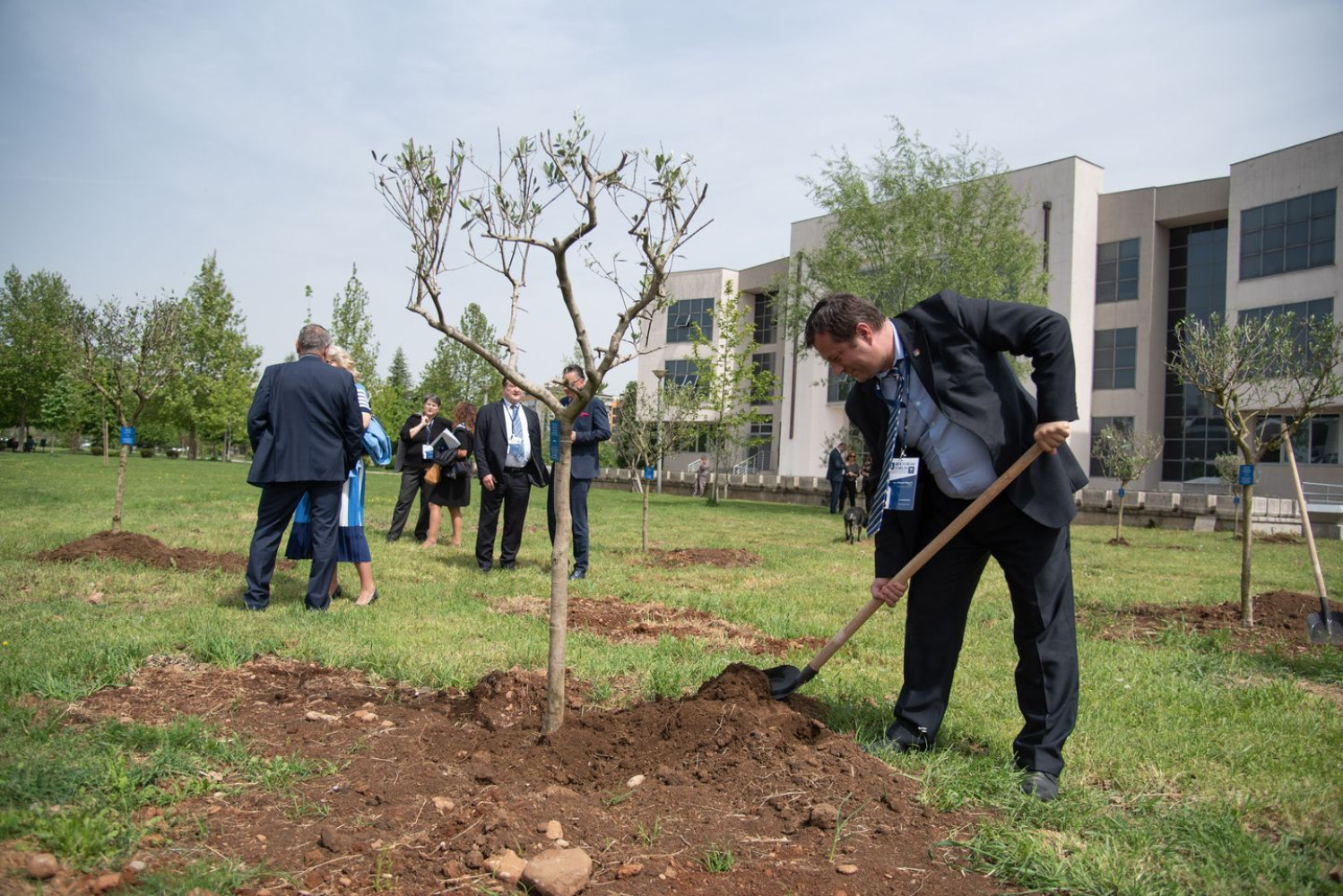 Univerzitet Crne Gore