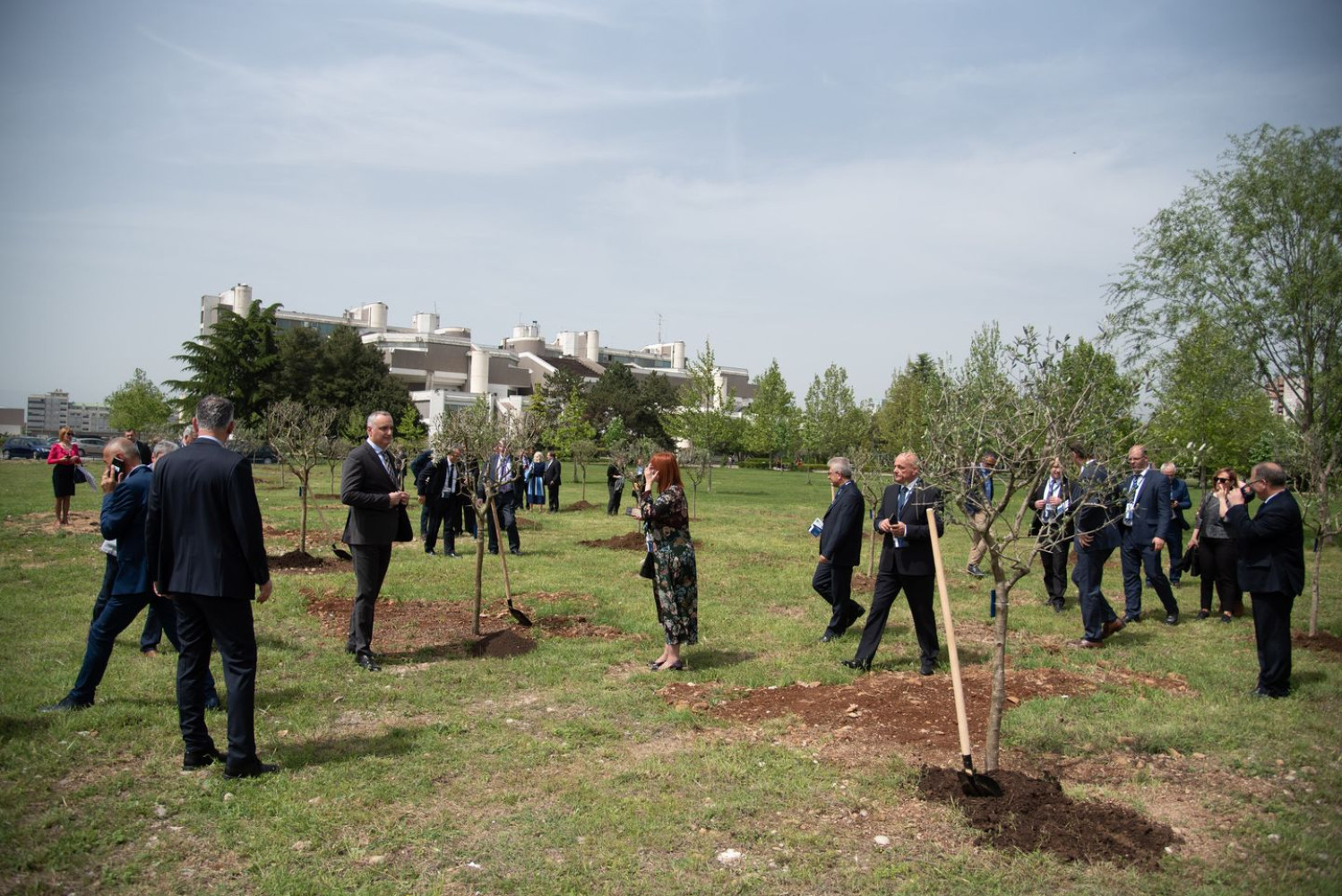 Univerzitet Crne Gore