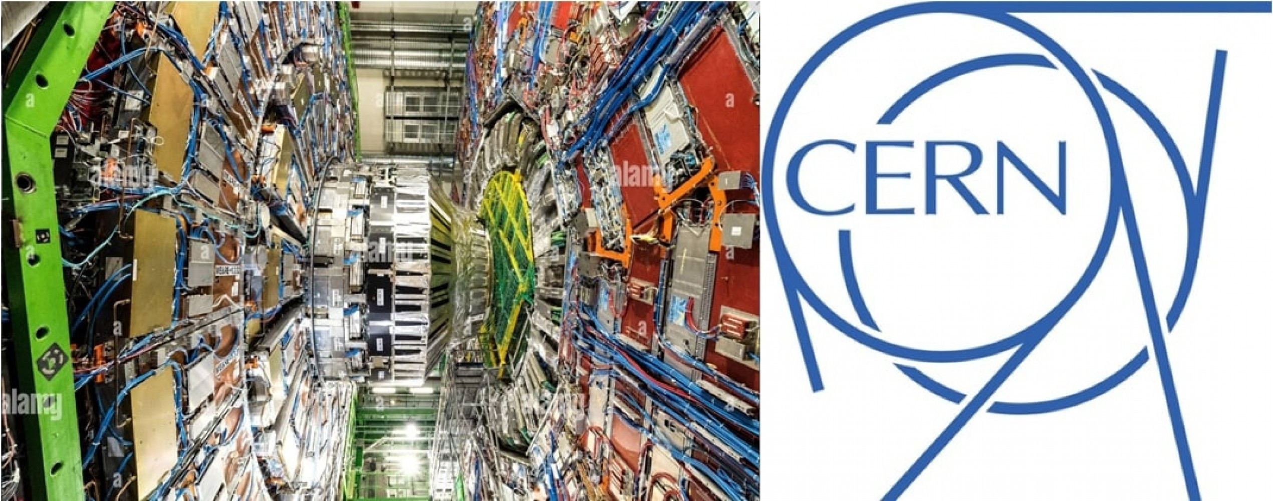 Univerzitet Crne Gore