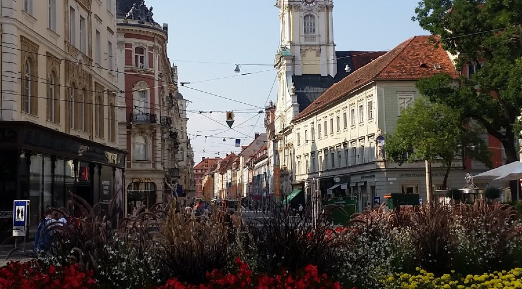 Univerzitet Crne Gore