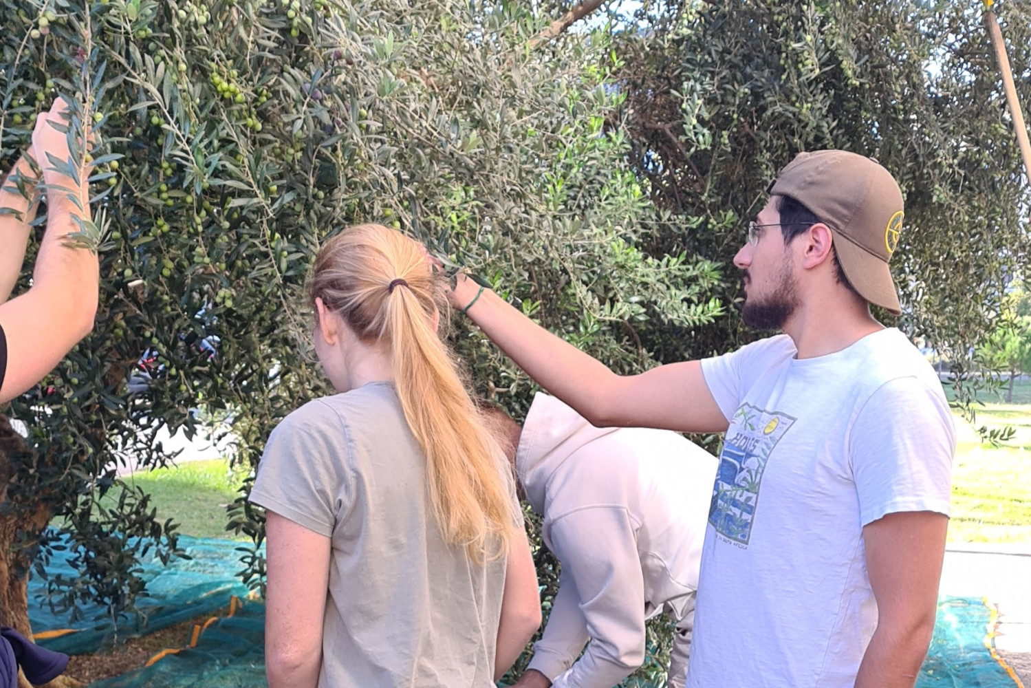 Univerzitet Crne Gore