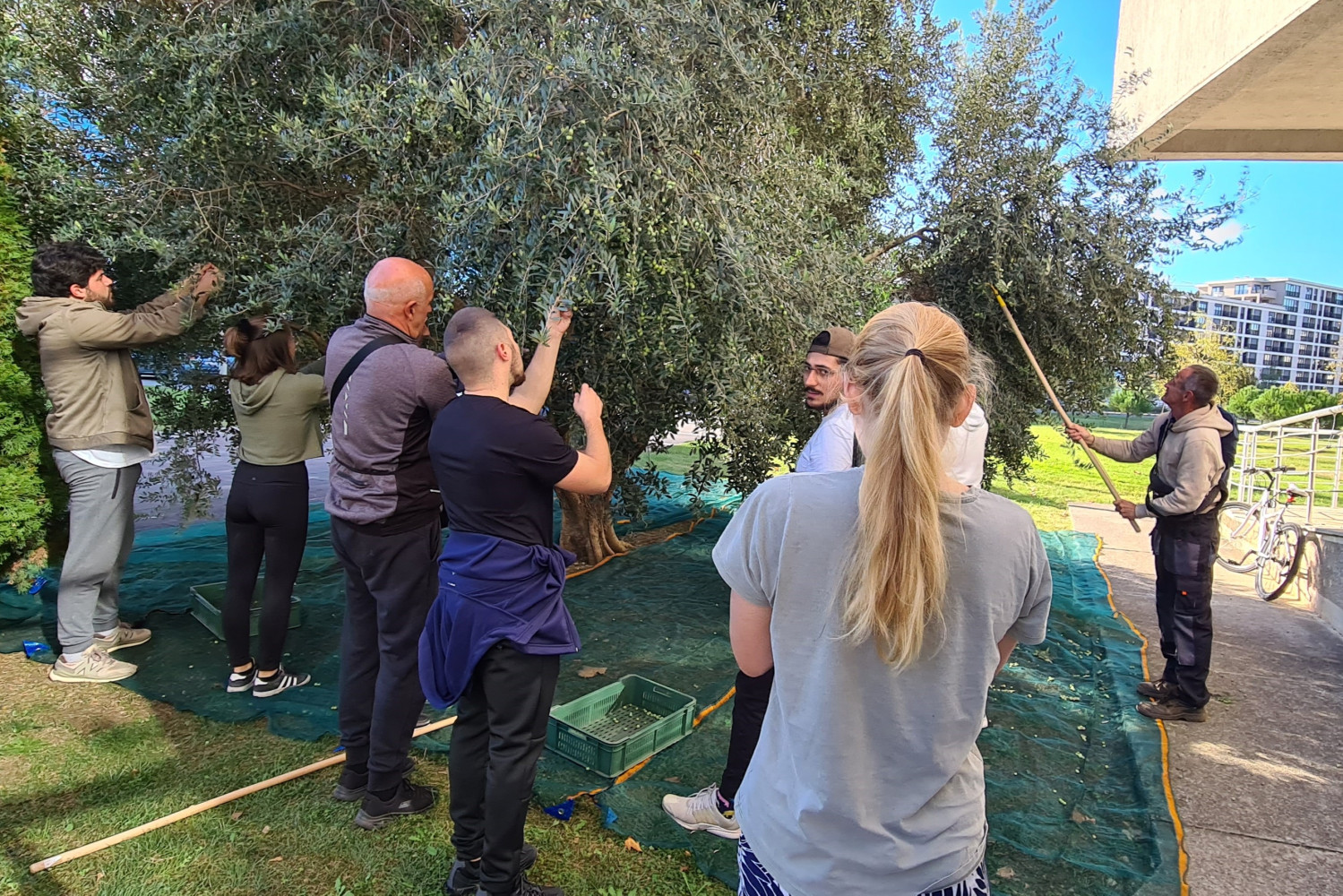 Univerzitet Crne Gore