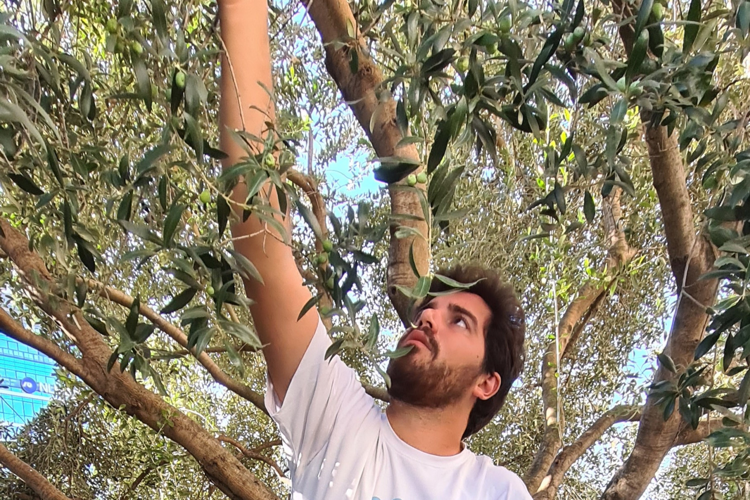 Univerzitet Crne Gore