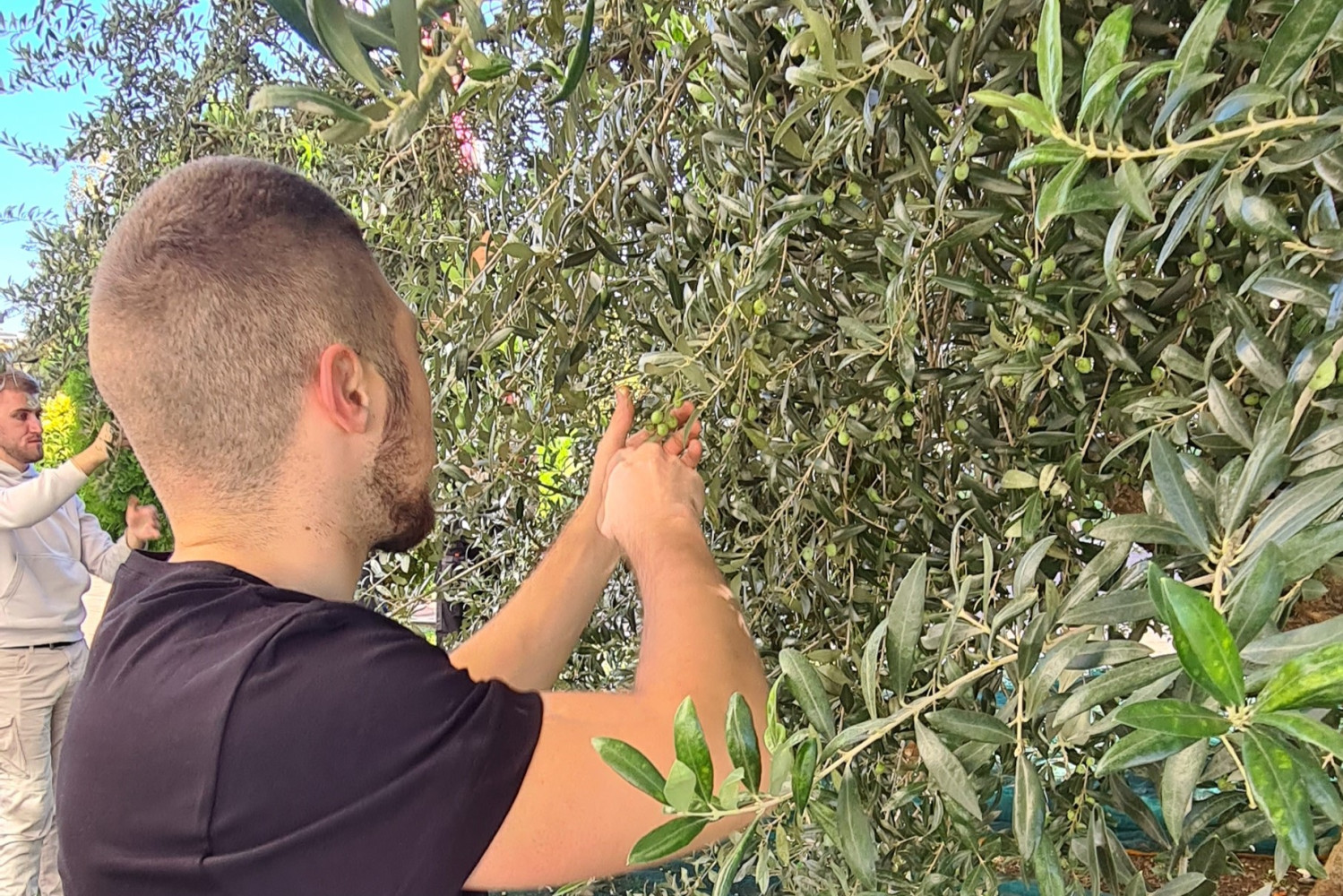 Univerzitet Crne Gore