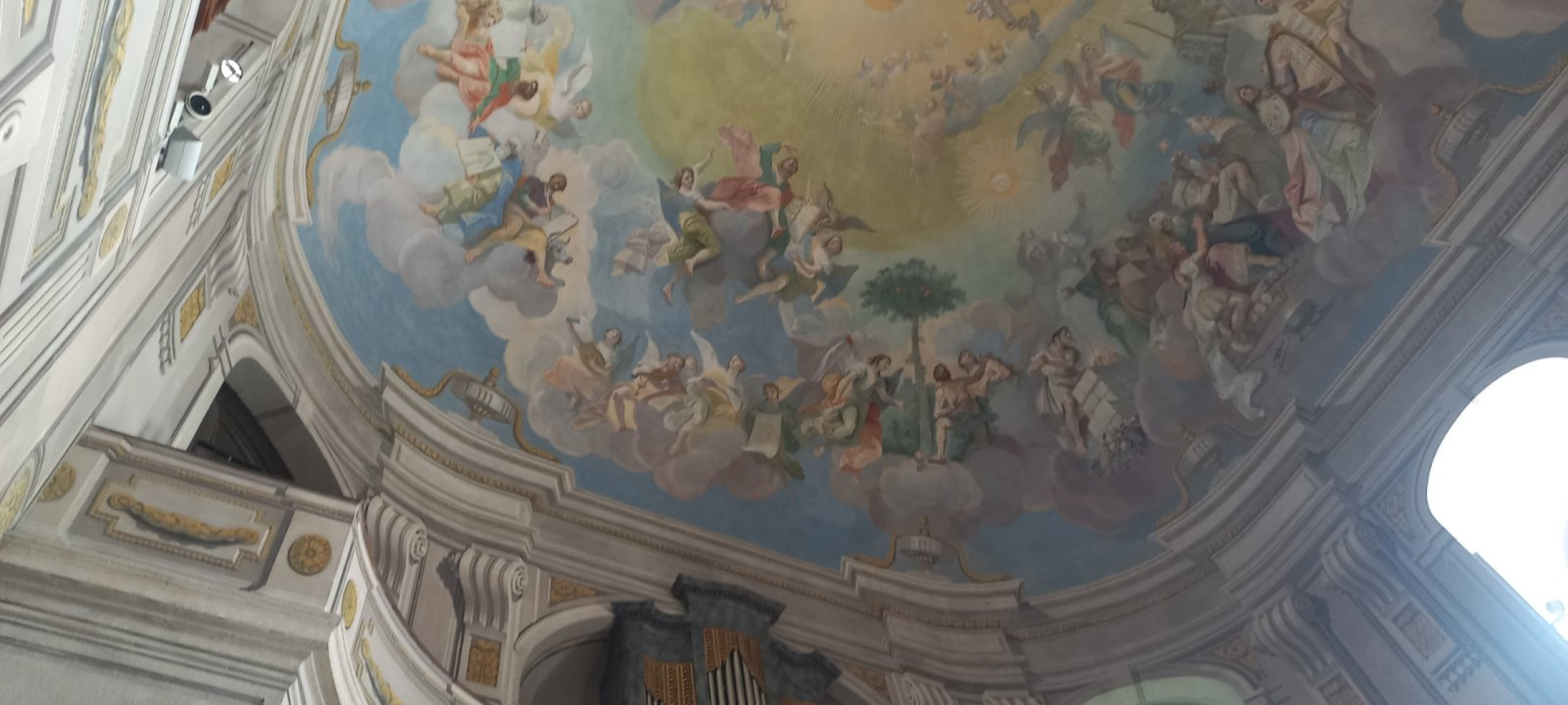 Univerzitet Crne Gore