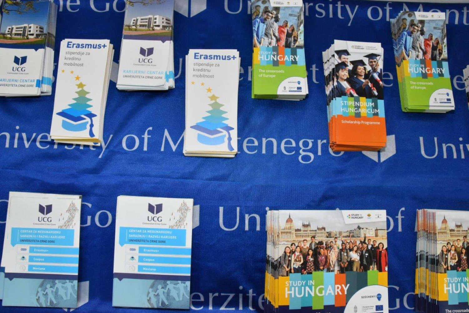 Univerzitet Crne Gore