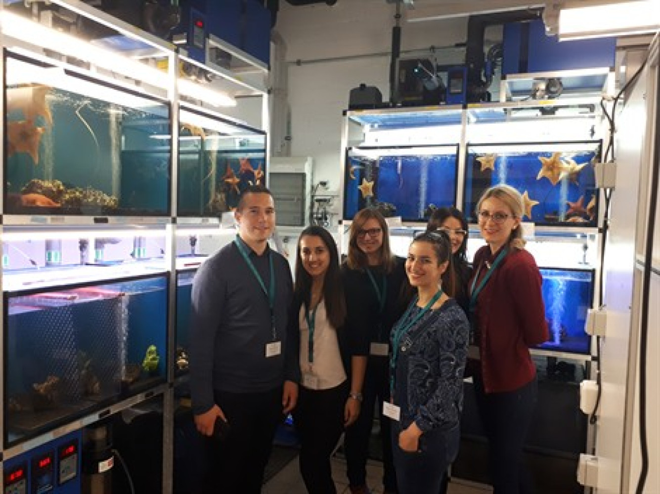 Univerzitet Crne Gore