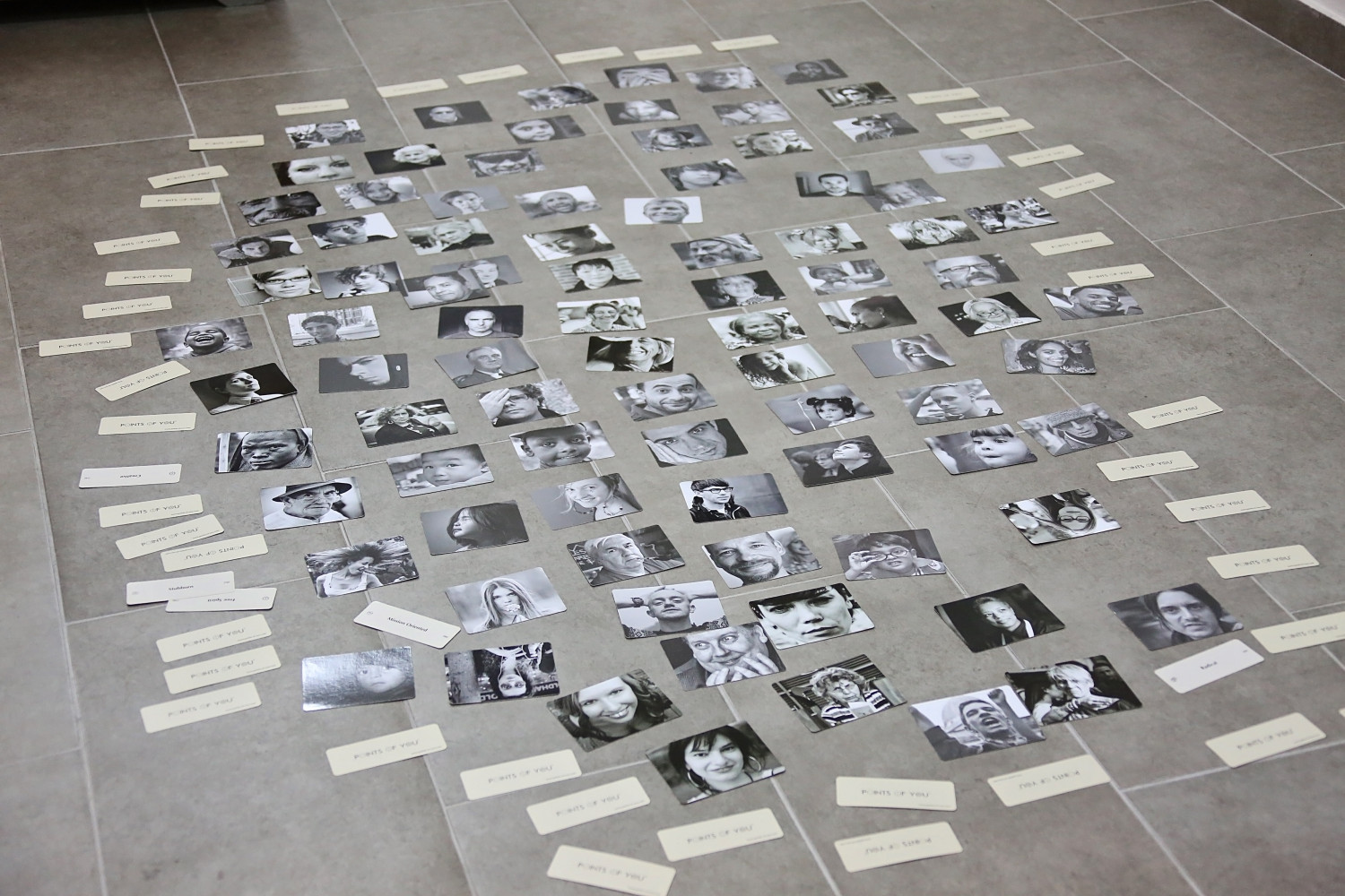 Univerzitet Crne Gore