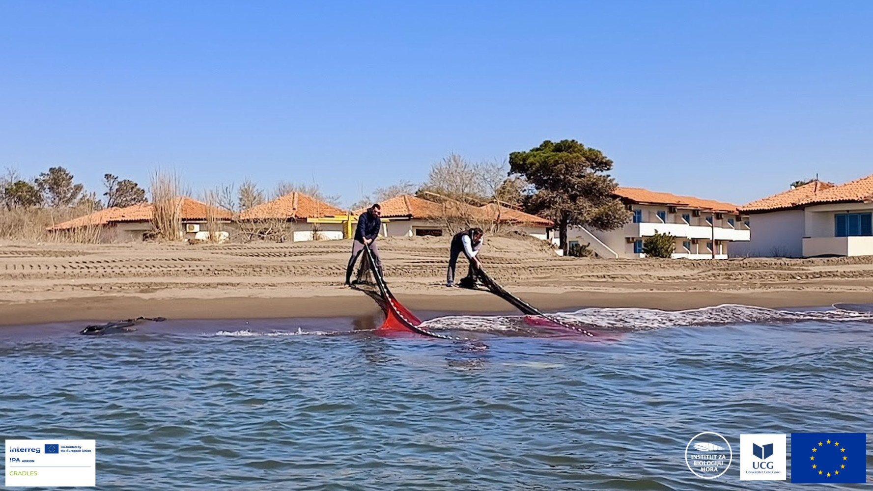 Univerzitet Crne Gore