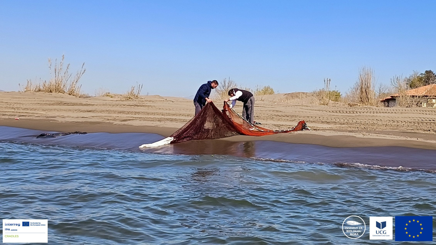 Univerzitet Crne Gore