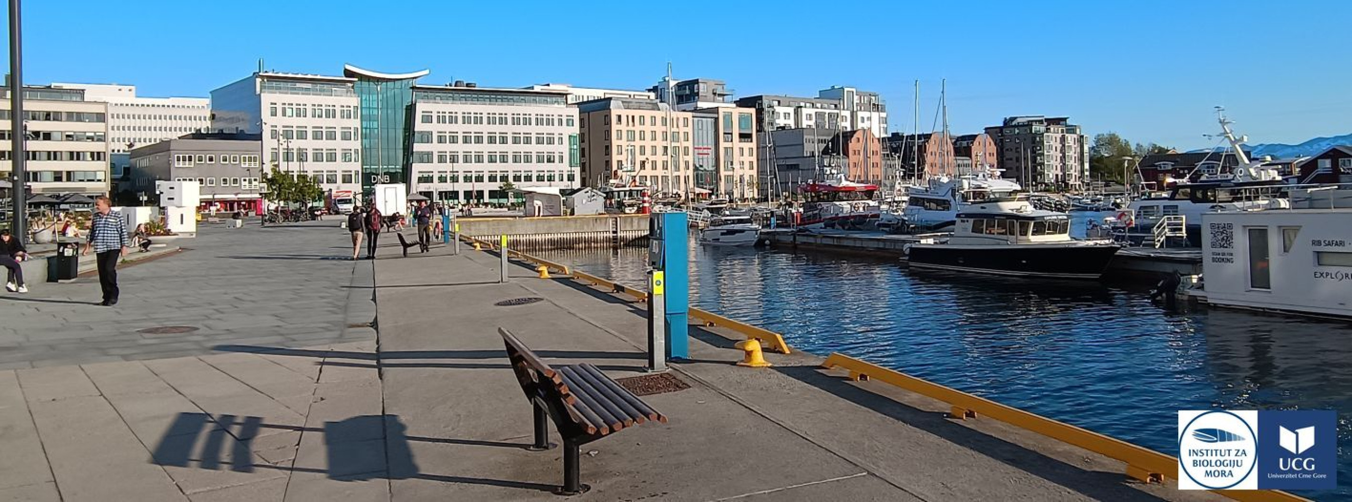 Univerzitet Crne Gore