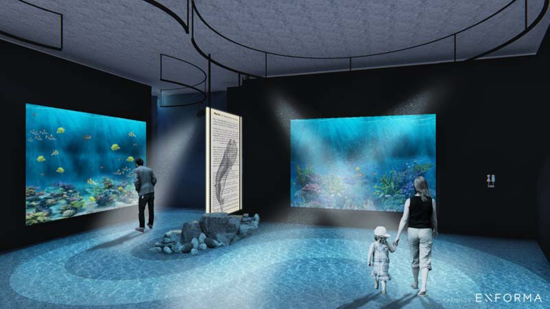 Univerzitet Crne Gore