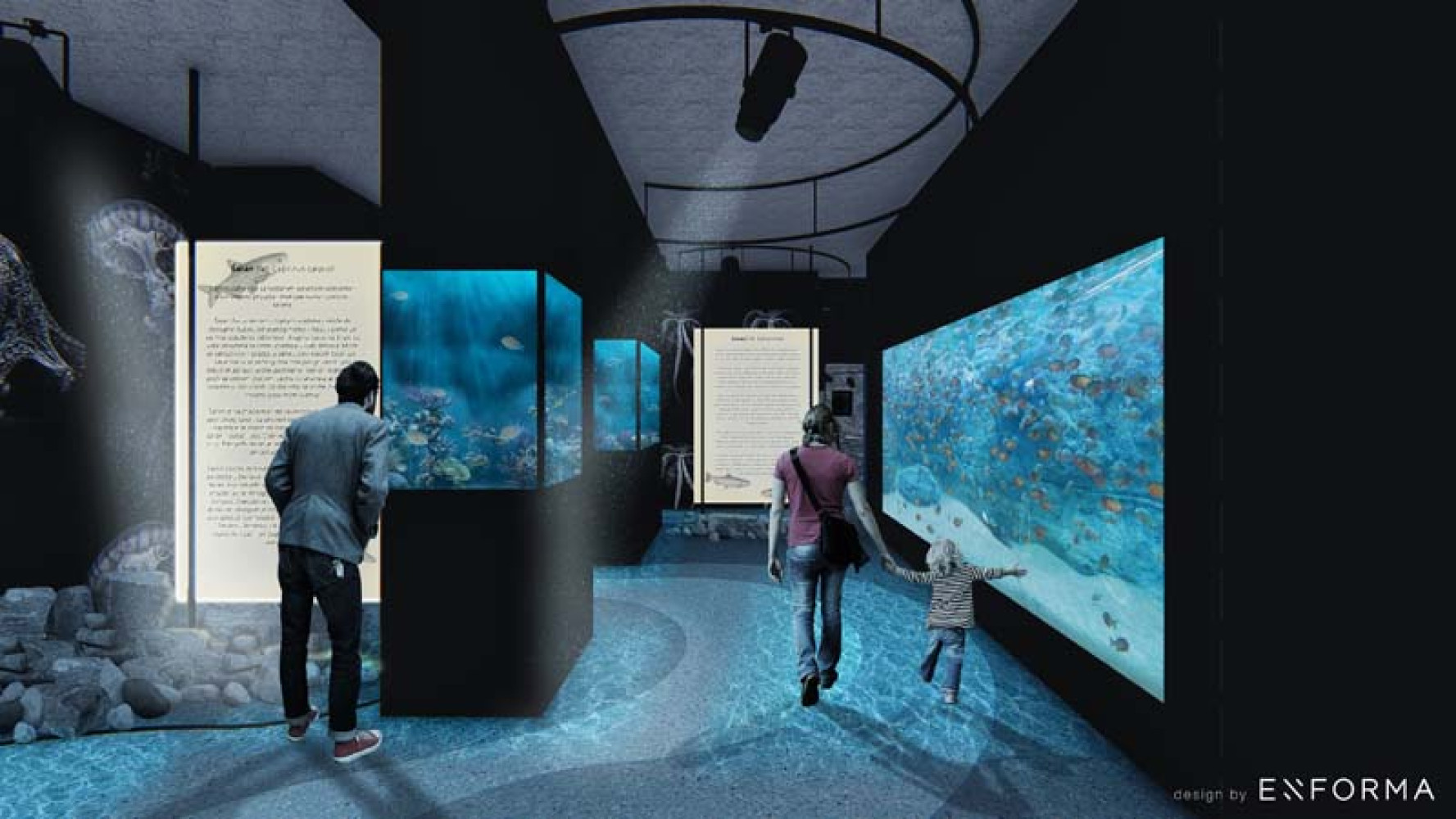 Univerzitet Crne Gore