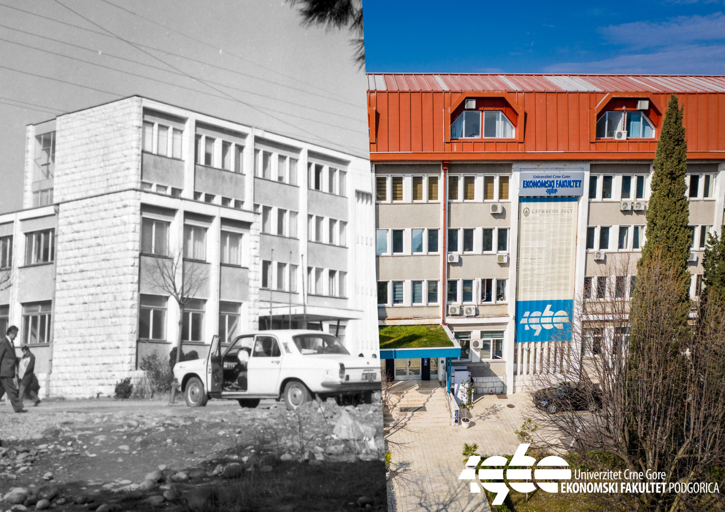 Univerzitet Crne Gore
