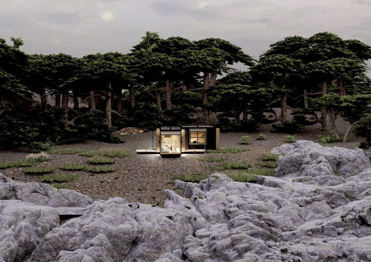 Univerzitet Crne Gore