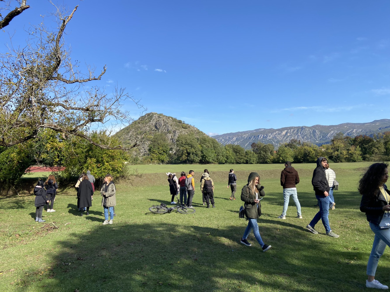 Univerzitet Crne Gore