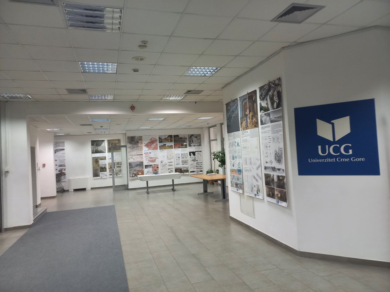 Univerzitet Crne Gore