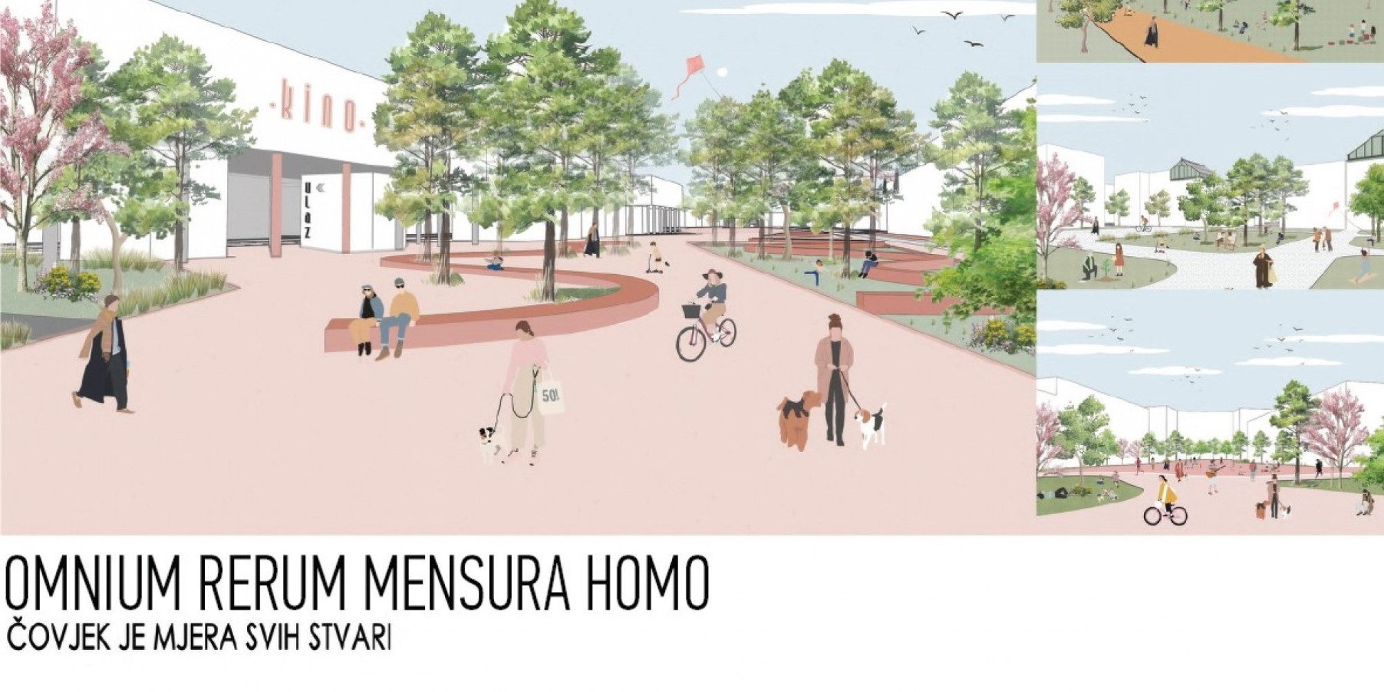 Univerzitet Crne Gore