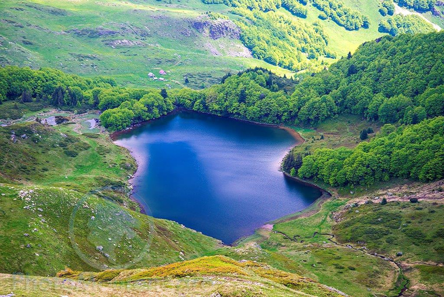 Univerzitet Crne Gore