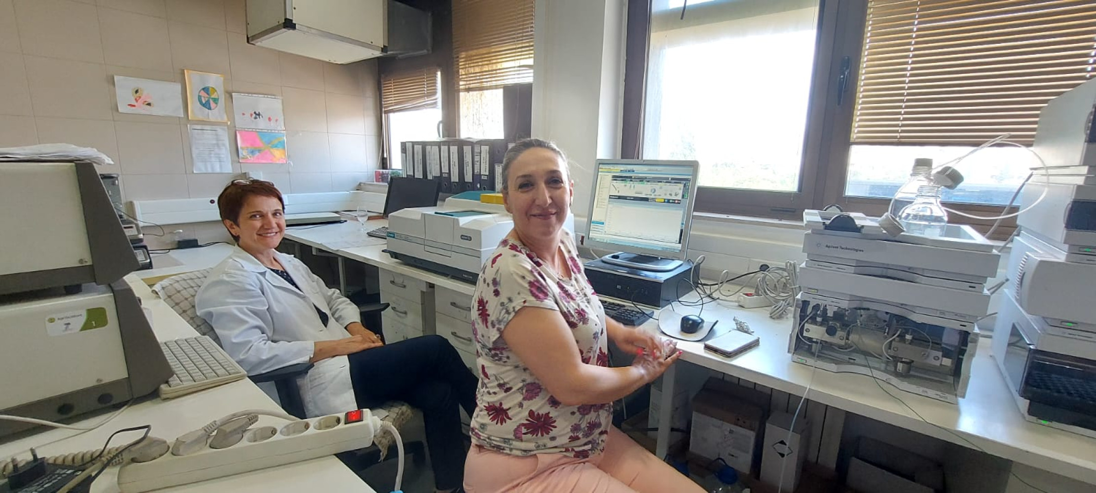 Univerzitet Crne Gore