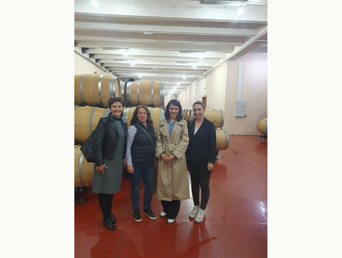 Univerzitet Crne Gore