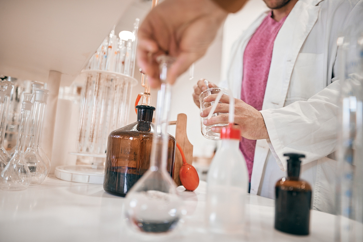 Univerzitet Crne Gore