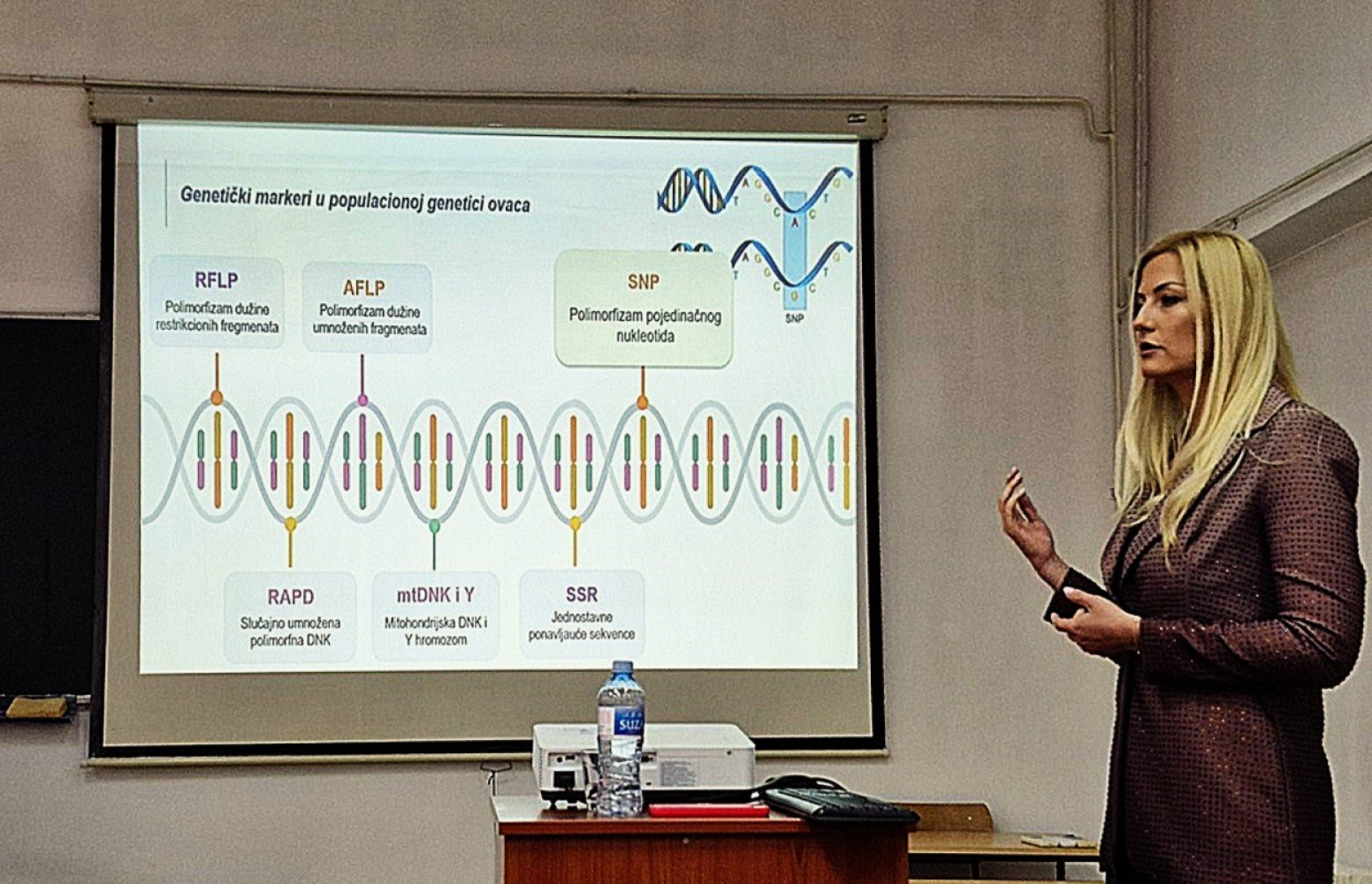 Univerzitet Crne Gore