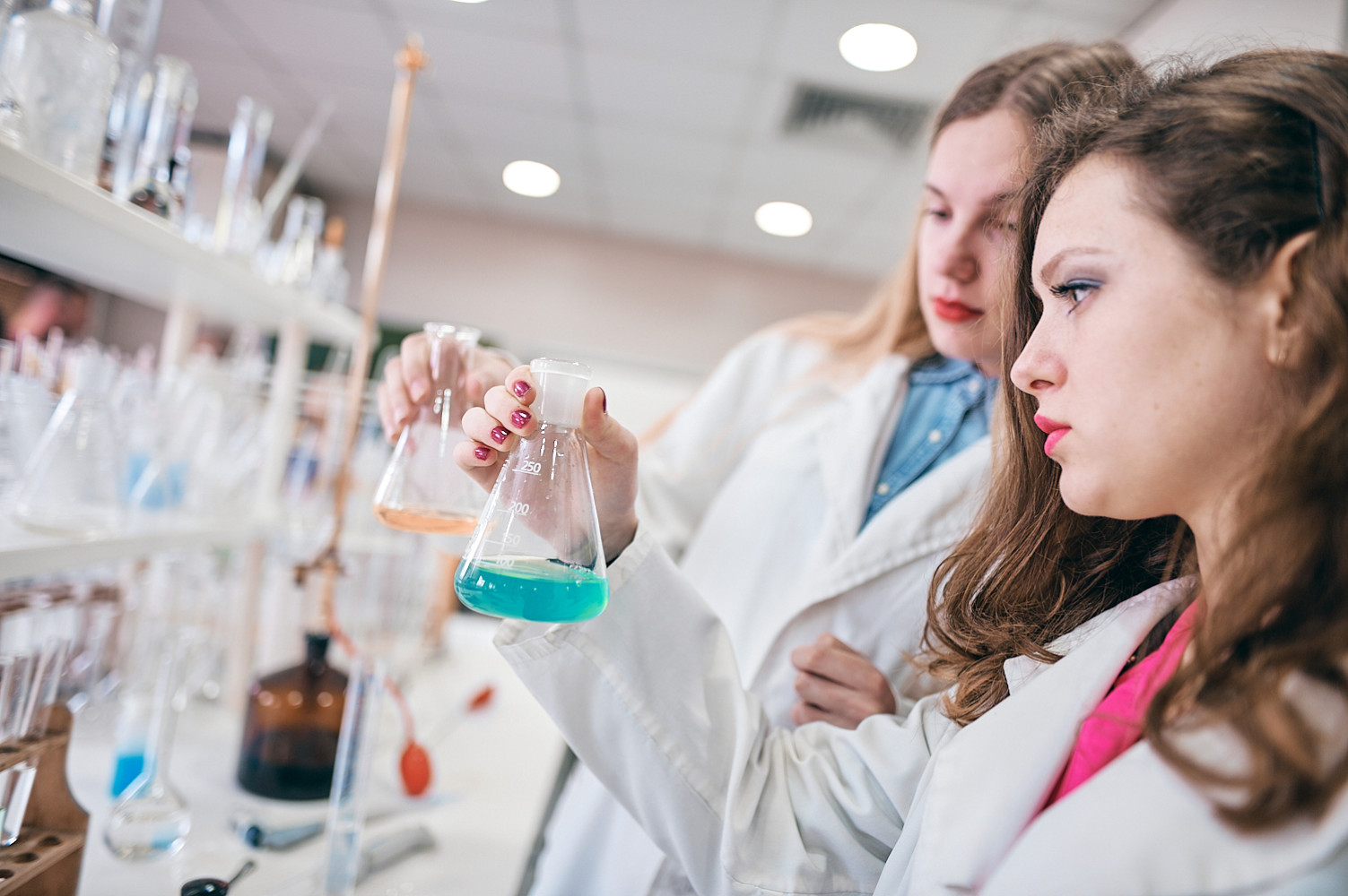 Univerzitet Crne Gore