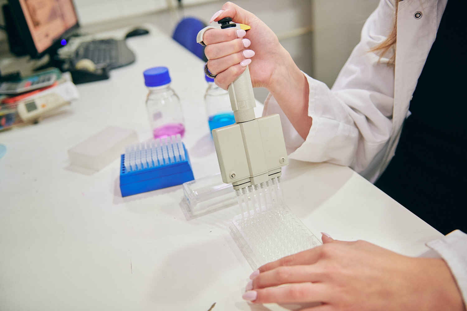 Univerzitet Crne Gore