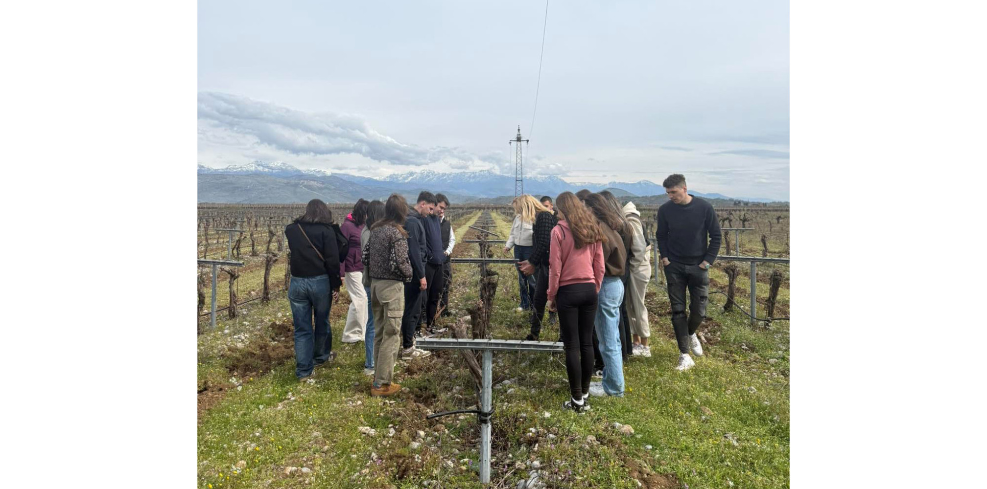 Univerzitet Crne Gore