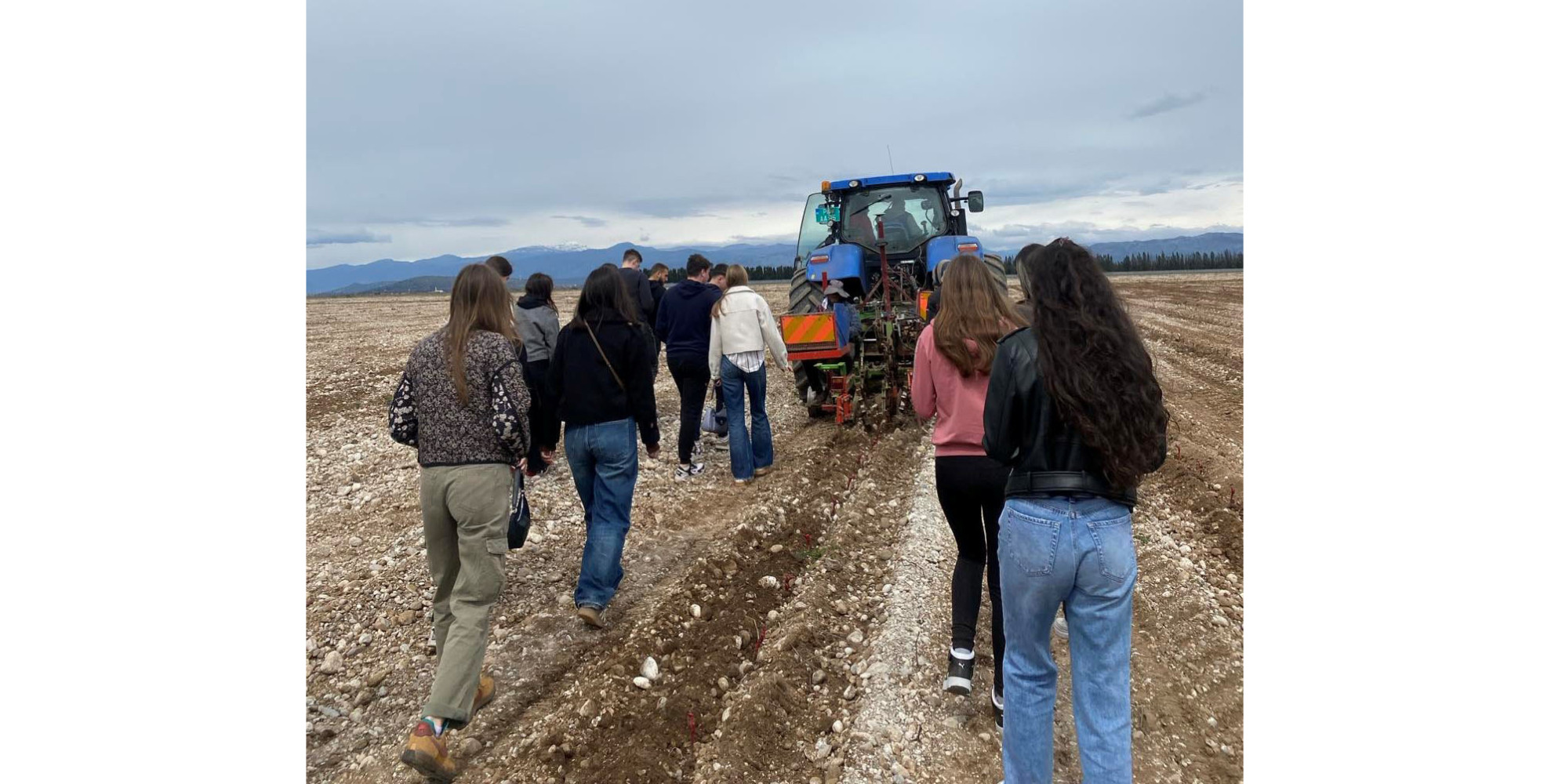 Univerzitet Crne Gore