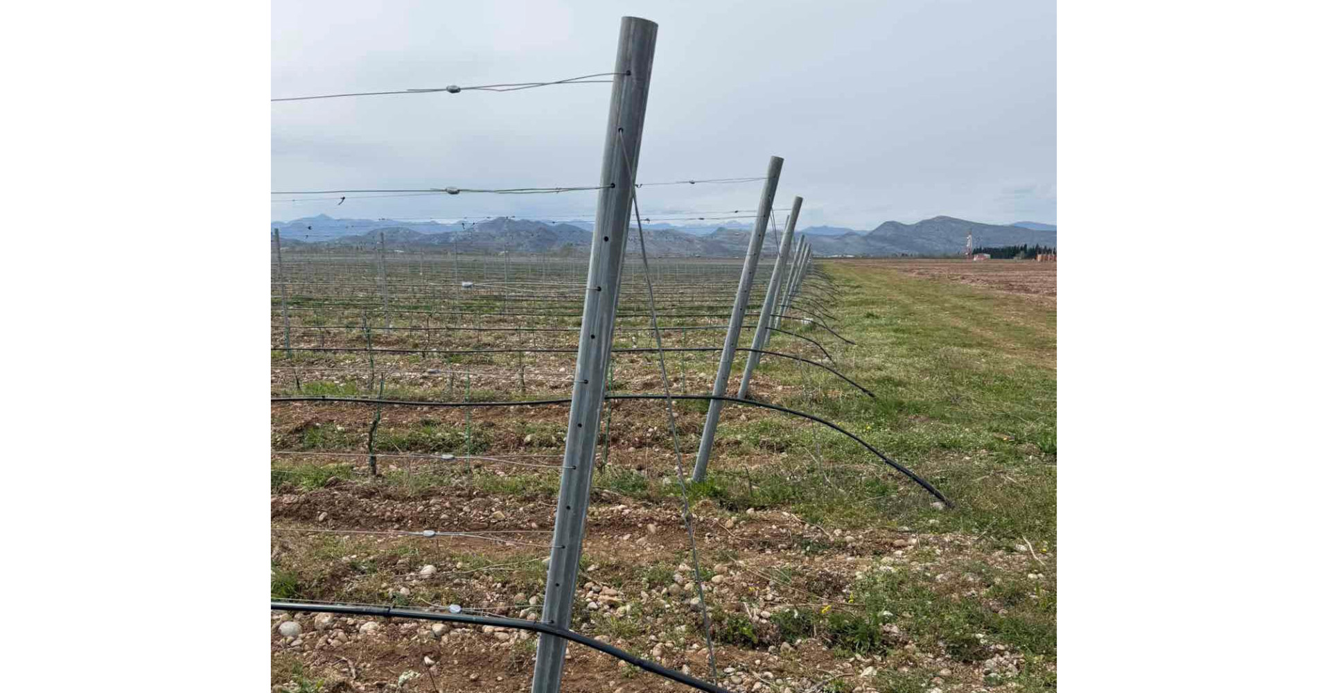 Univerzitet Crne Gore