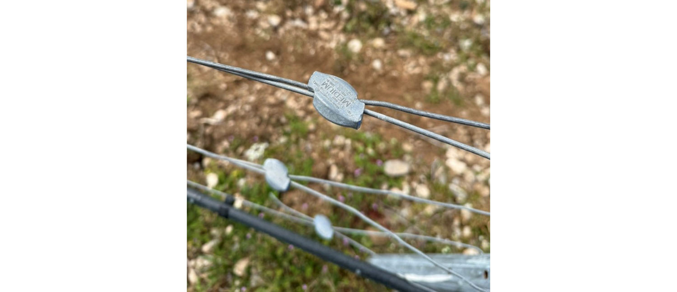 Univerzitet Crne Gore