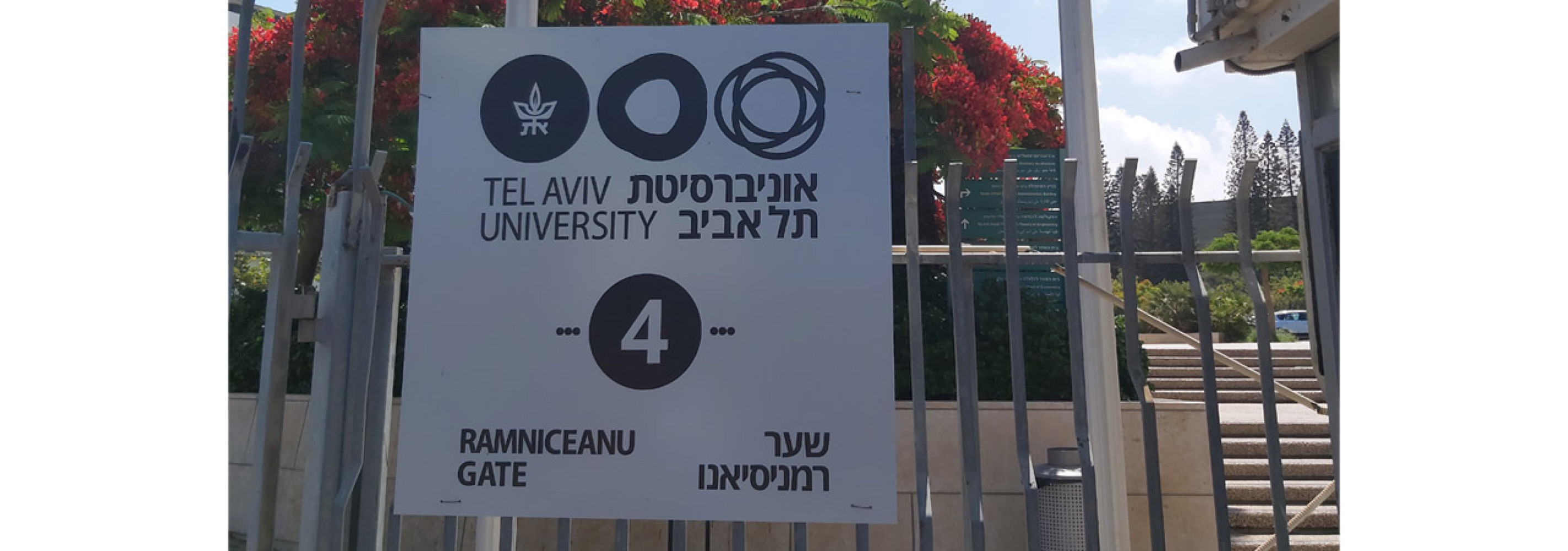 Univerzitet Crne Gore